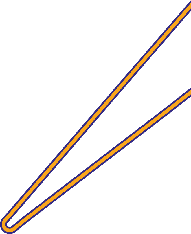 Eastlink holiday Comet