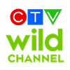 CTV Wild